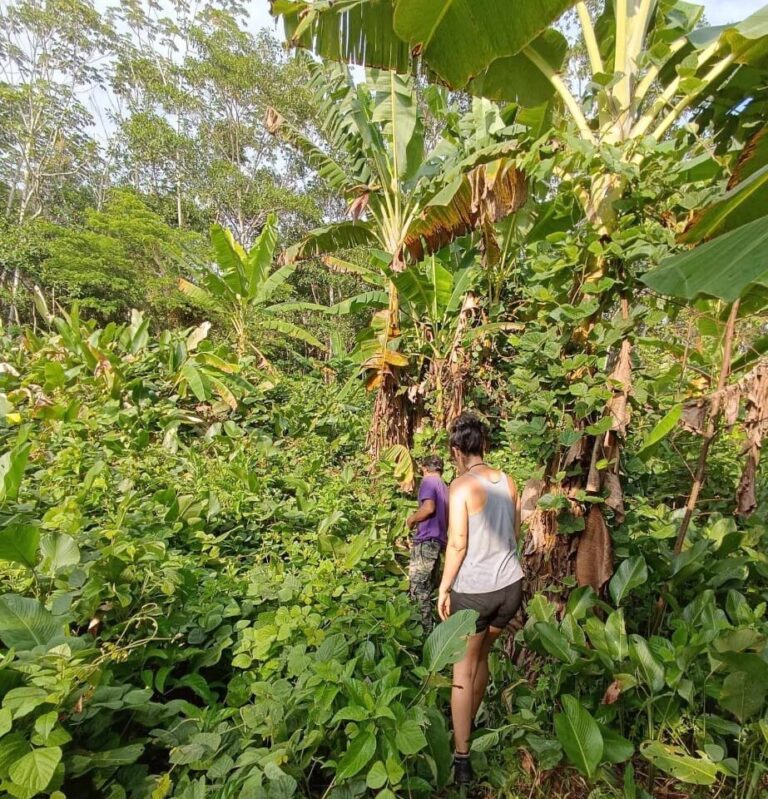 selva guests